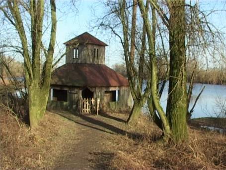 Kekerdom : Millingerwaard, Vogelbeobachtungshütte